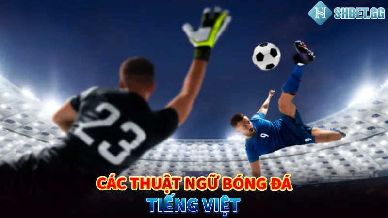 Thuật Ngữ Bóng Đá Là Gì? 5 Loại Thuật Ngữ Phổ Biến Nhất 2023 4 Các thuật ngữ bóng đá tiếng Việt