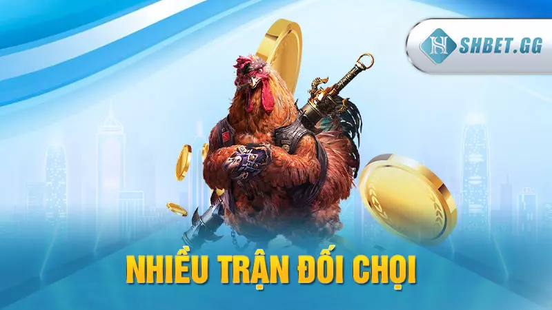Đá Gà 88 - Trường đá gà trực tuyến đẳng cấp hàng đầu 5 Nhiều trận đối chọi